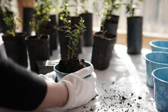 Iveco Group Isla Ecológica