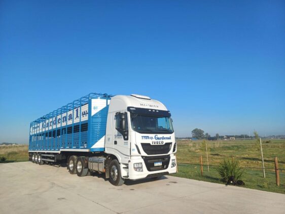 Iveco