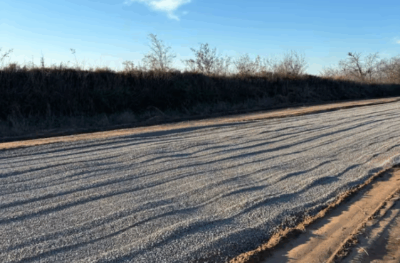Ruta del Cereal