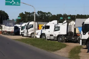 Transporte de granos